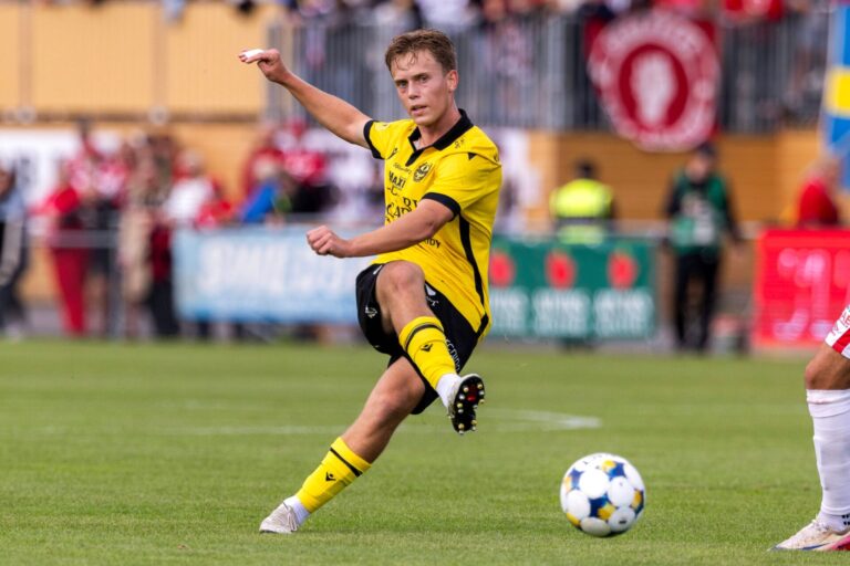 Von Ludwig Malachowski Thorell verspricht sich der FC Basel Struktur in seinem Spiel