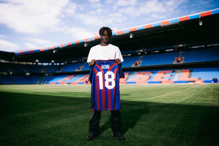 Mit Asane Sow verpflichtet der FC Basel einen «spannenden Offensivspieler» aus der Serie C